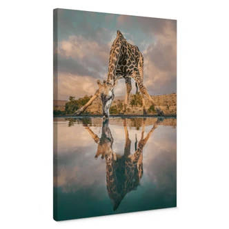 Leinwandbild Reflexion einer Giraffe in der Wildnis - Amtmann 