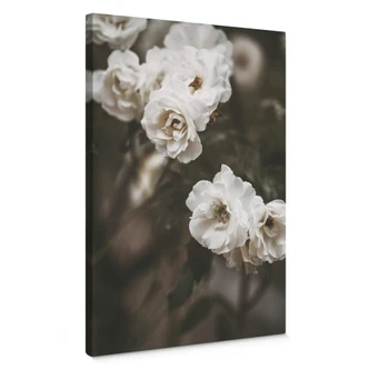 Canvas Annie - Louise Bugnet Rose 