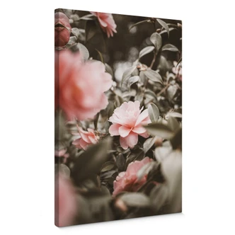 Lienzo Annie - Flor de rosa 
