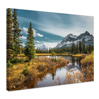 Leinwandbild Berg-Idylle am zauberhaften Kiefernwald 