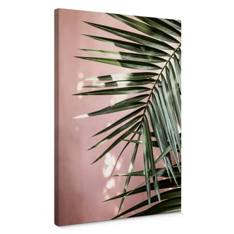 Canvas Palmblad voor roze muur - Böhmer Canvas Palmblad voor roze muur - Böhmer