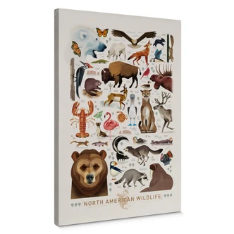 Leinwandbild Braun - North American Wildlife 