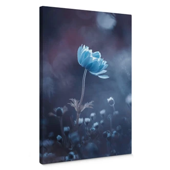 Canvas Bravin - Blue Flowers Canvas Bravin - Blue Flowers