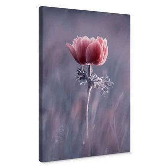 Canvas Bravin - The Red Flower Canvas Bravin - The Red Flower