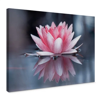 Canvas Bravin - Lotus Flower Magic Canvas Bravin - Lotus Flower Magic