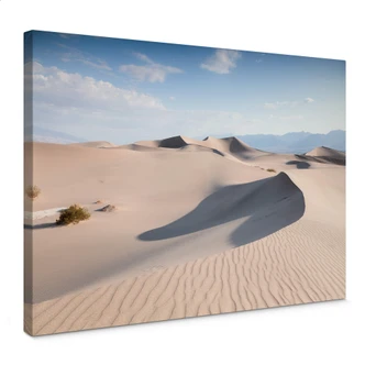 Lienzo Colombo - En el desierto 