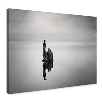 Leinwandbild Digalakis - Eleganter Wasservogel 