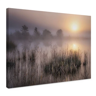 Lienzo Niebla otoñal - Eisenmann 