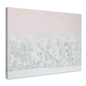 Canvas print Snowy winter forest with moon - EMELIEmaria 