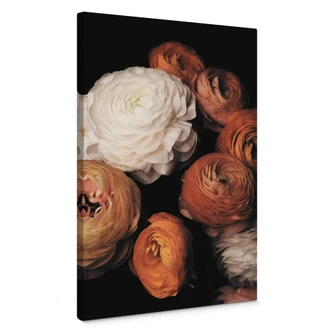 Leinwandbild FiguraNYC Photography - Ranunkeln Stillleben 