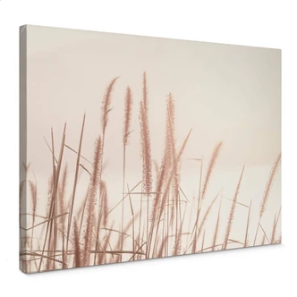 Stampa su tela - Erba 