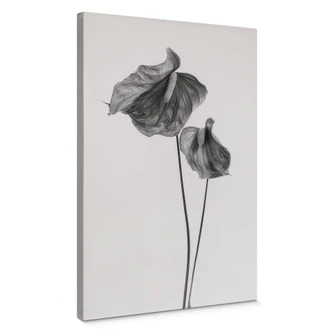 Canvas Grønkjær - Anthurium 