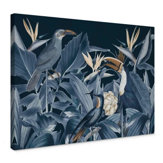 Lienzo Aves tropicales en el bosque de noche - Haase 