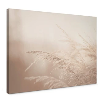 Canvas Morning Light 