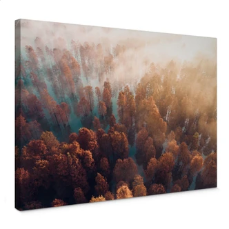 Leinwandbild Herbstwald im Nebel - Ioricon 