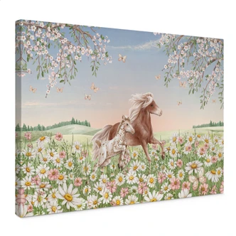 Obraz na płótnie Konie na kwiecistej łące - Kikki Belle 