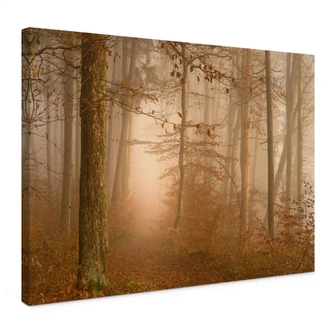 Tableau sur toile Brume et lumière dans la forêt d'automne - Maier 