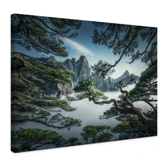 Leinwandbild Kiefernwald im Huang Shan Gebirge - NingYun Ye 