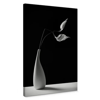 Leinwandbild Oveckova - Pflanzen in einer weißen Vase 