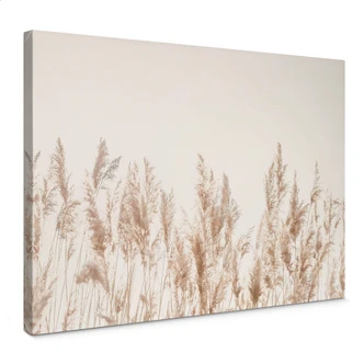 Canvas Rietgrassen 