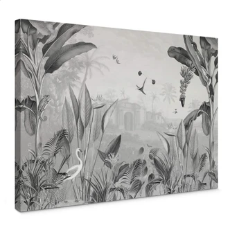 Leinwandbild Sir Edward - Botanik schwarz-weiß Leinwandbild Sir Edward - Botanik schwarz-weiß