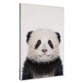 Leinwandbild Sisi & Seb - Baby Panda 
