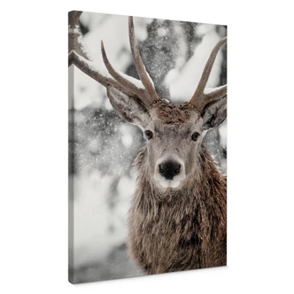 Stampe su tela con cervi innevati e motivi animali per il soggiorno - Strigel 