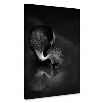 Tableau sur toile Tjandra - Reflection of a Bird 