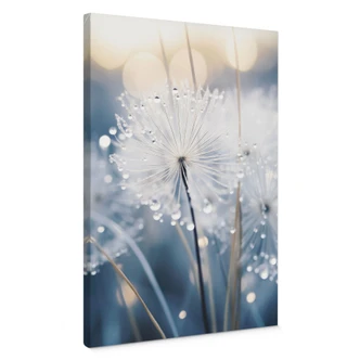 Leinwandbild Funkelnde Pusteblumen - Treechild 