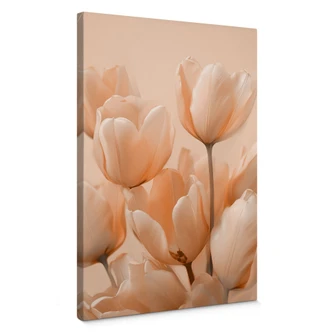 Leinwandbild Pfirsichfarbene Tulpen - Treechild 