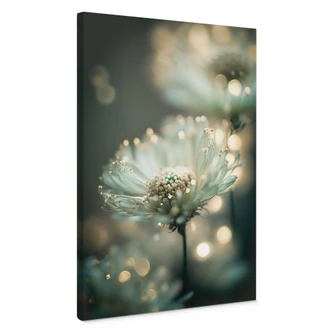 Obraz na płótnie Delikatny blask kwiatów - Treechild 