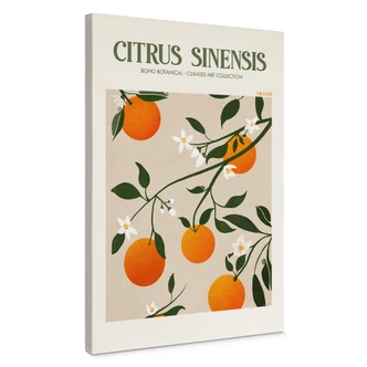 Lienzo Boho Naranjo - Citrus Sinensis - Tunaboylu 