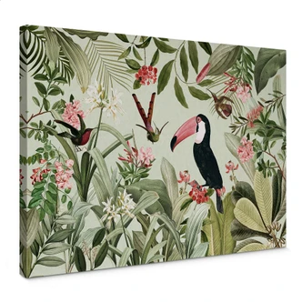 Lienzo Tucán en la selva paradisíaca - UN Designs 