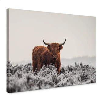 Leinwandbild van den Helm - Highlander 