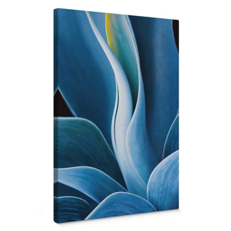 Leinwandbild Wechsler - Pflanzen Stillleben Agave 