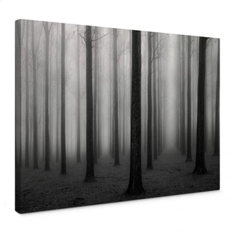 Canvas Bongaerts - Nevel in het Bos 