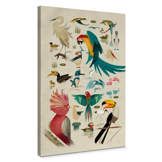 Leinwandbild Braun - Birds 