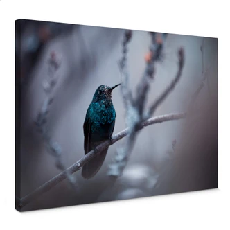 Canvas Bravien - Electrical Blue Canvas Bravien - Electrical Blue