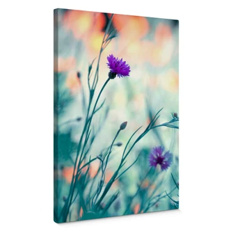 Canvas Bravin - Luminous purple Canvas Bravin - Luminous purple