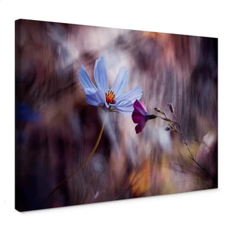 Canvas Bravin - Rendezvous of Two Flowers Canvas Bravin - Rendezvous of Two Flowers