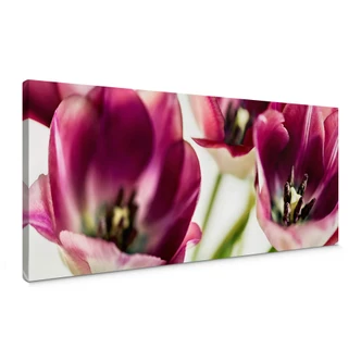 Canvas Bsmart - Tulips 