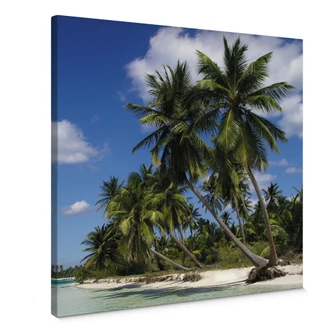 Carribean  - square Canvas print 