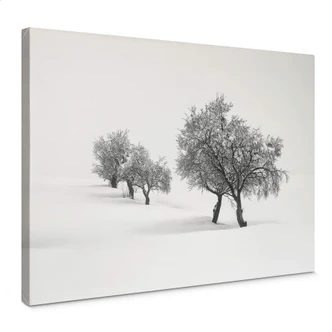 Leinwandbild Carrillo Lopez - Weiße Landschaft 