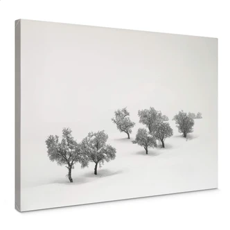 Leinwandbild Carrillo Lopez - Weiße Landschaft mit Bäumen 