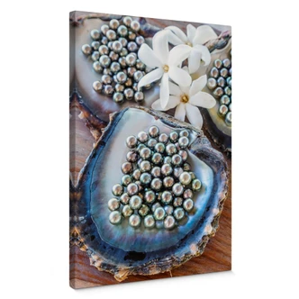 Canvas Colombo - Parels uit Tahiti 