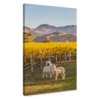 Canvas Colombo - Mountain Sunset 