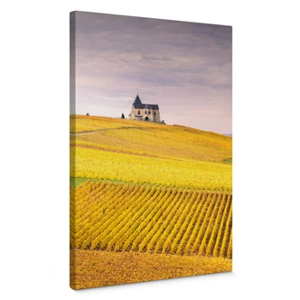 Lienzo Colombo - Viñedos en la región de Champaña 
