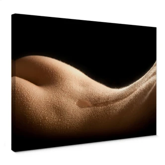 Leinwandbild Female Body 