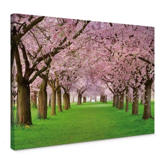 Spring Canvas print 