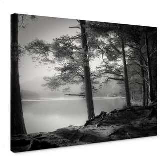 Canvas Fugh - At the Lake 